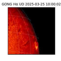 gong - 2025-03-25T10:00:02