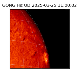 gong - 2025-03-25T11:00:02