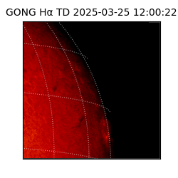 gong - 2025-03-25T12:00:22