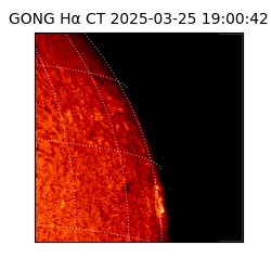 gong - 2025-03-25T19:00:42