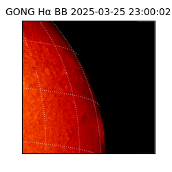 gong - 2025-03-25T23:00:02