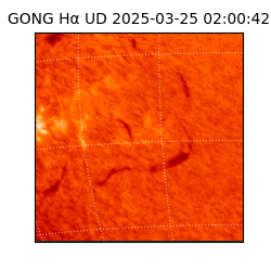 gong - 2025-03-25T02:00:42