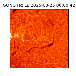 gong - 2025-03-25T06:00:42