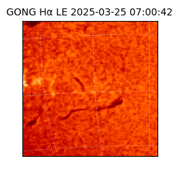 gong - 2025-03-25T07:00:42