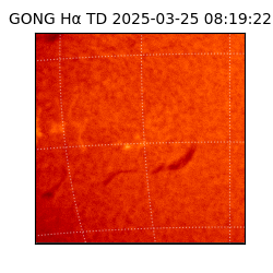 gong - 2025-03-25T08:19:22