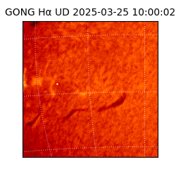 gong - 2025-03-25T10:00:02