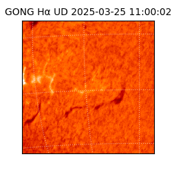 gong - 2025-03-25T11:00:02