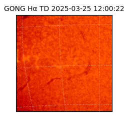 gong - 2025-03-25T12:00:22