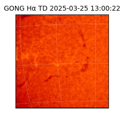 gong - 2025-03-25T13:00:22