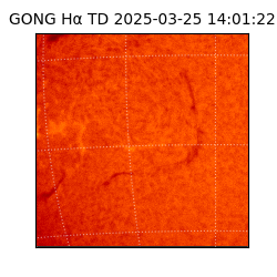 gong - 2025-03-25T14:01:22