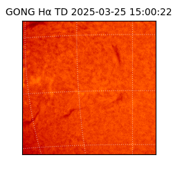 gong - 2025-03-25T15:00:22