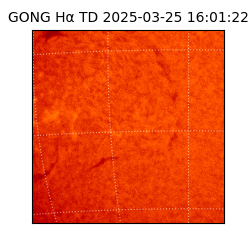 gong - 2025-03-25T16:01:22