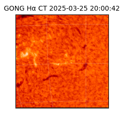 gong - 2025-03-25T20:00:42