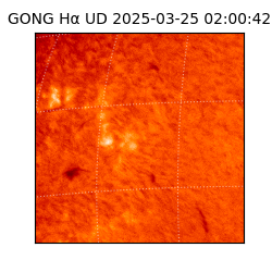 gong - 2025-03-25T02:00:42