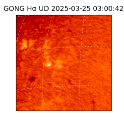 gong - 2025-03-25T03:00:42