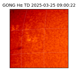 gong - 2025-03-25T09:00:22