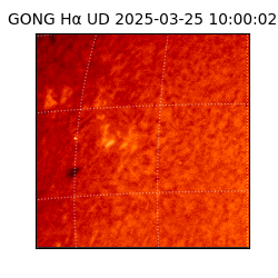 gong - 2025-03-25T10:00:02