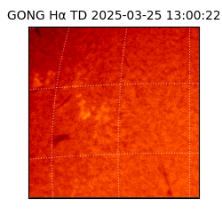 gong - 2025-03-25T13:00:22