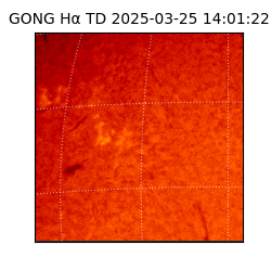 gong - 2025-03-25T14:01:22