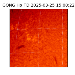 gong - 2025-03-25T15:00:22