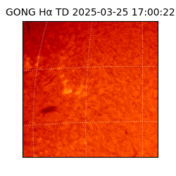 gong - 2025-03-25T17:00:22