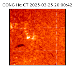 gong - 2025-03-25T20:00:42