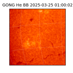 gong - 2025-03-25T01:00:02