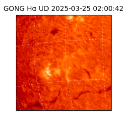 gong - 2025-03-25T02:00:42