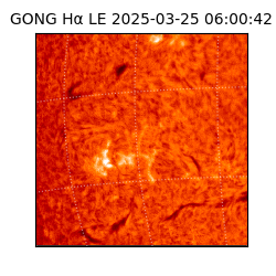 gong - 2025-03-25T06:00:42