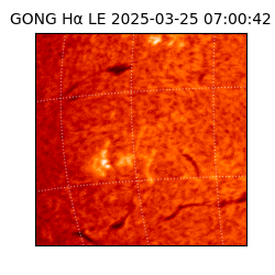 gong - 2025-03-25T07:00:42