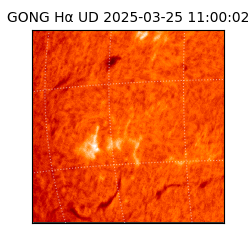 gong - 2025-03-25T11:00:02