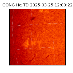 gong - 2025-03-25T12:00:22