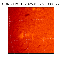 gong - 2025-03-25T13:00:22