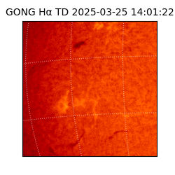 gong - 2025-03-25T14:01:22