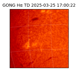 gong - 2025-03-25T17:00:22
