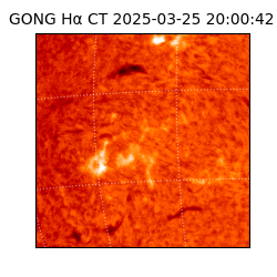 gong - 2025-03-25T20:00:42
