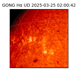 gong - 2025-03-25T02:00:42