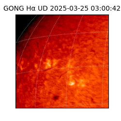 gong - 2025-03-25T03:00:42