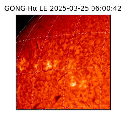 gong - 2025-03-25T06:00:42