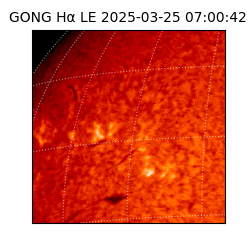 gong - 2025-03-25T07:00:42