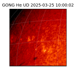 gong - 2025-03-25T10:00:02