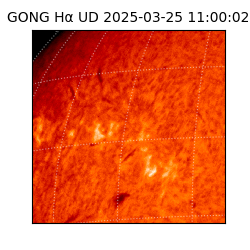 gong - 2025-03-25T11:00:02