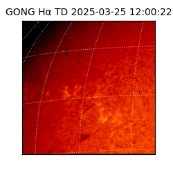 gong - 2025-03-25T12:00:22