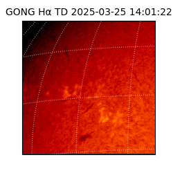 gong - 2025-03-25T14:01:22