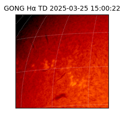 gong - 2025-03-25T15:00:22