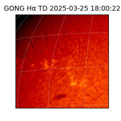 gong - 2025-03-25T18:00:22