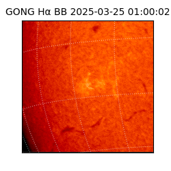 gong - 2025-03-25T01:00:02