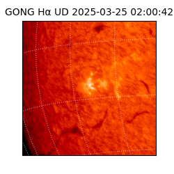 gong - 2025-03-25T02:00:42