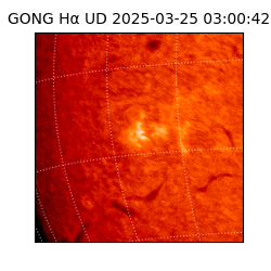 gong - 2025-03-25T03:00:42