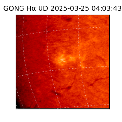 gong - 2025-03-25T04:03:43